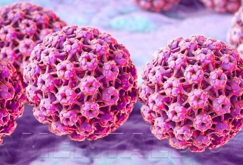 Мазок на ВПЧ